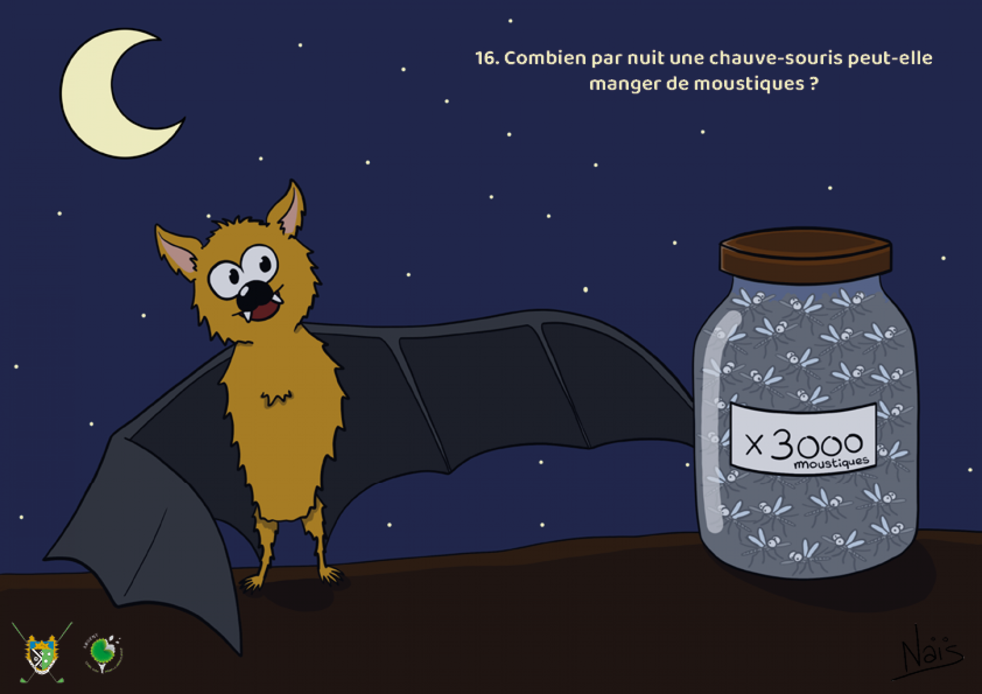 Réponse :  3000. En moyenne, chaque nuit, une chauve-souris dévore l’équivalent en poids de 3000 moustiques. De manière générale, la chauve-souris insectivore se nourrit quotidiennement d’un tiers de son poids en insectes. Certaines peuvent ingurgiter de bien plus grandes quantités, jusqu’à l’équivalent de leur poids total.